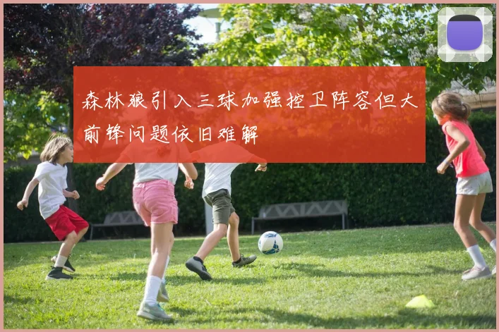 森林狼引入三球加强控卫阵容但大前锋问题依旧难解